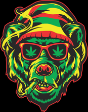 Load image into Gallery viewer, Rasta Bear
